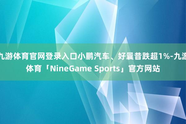 九游体育官网登录入口小鹏汽车、好曩昔跌超1%-九游体育「NineGame Sports」官方网站