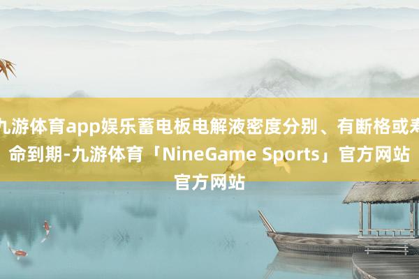 九游体育app娱乐蓄电板电解液密度分别、有断格或寿命到期-九游体育「NineGame Sports」官方网站