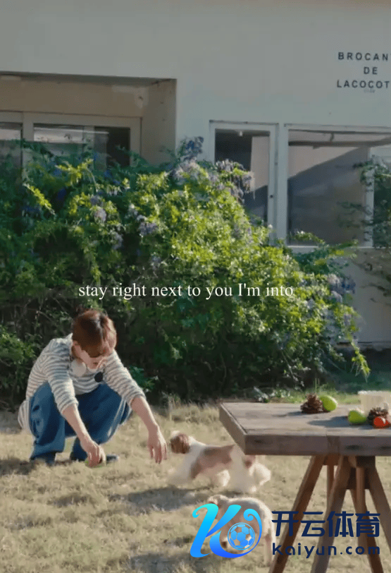 檀健次与狗狗玩耍配文 “三只独身狗” 疑否定恋情