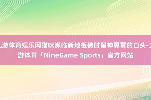 九游体育娱乐网猫咪濒临新地板砖时留神翼翼的口头-九游体育「NineGame Sports」官方网站