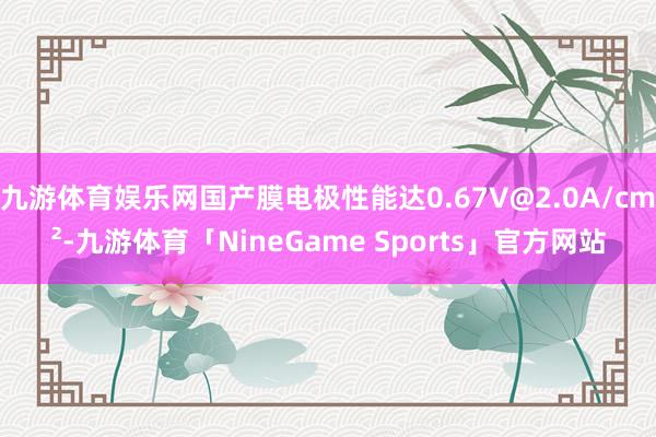 九游体育娱乐网国产膜电极性能达0.67V@2.0A/cm²-九游体育「NineGame Sports」官方网站